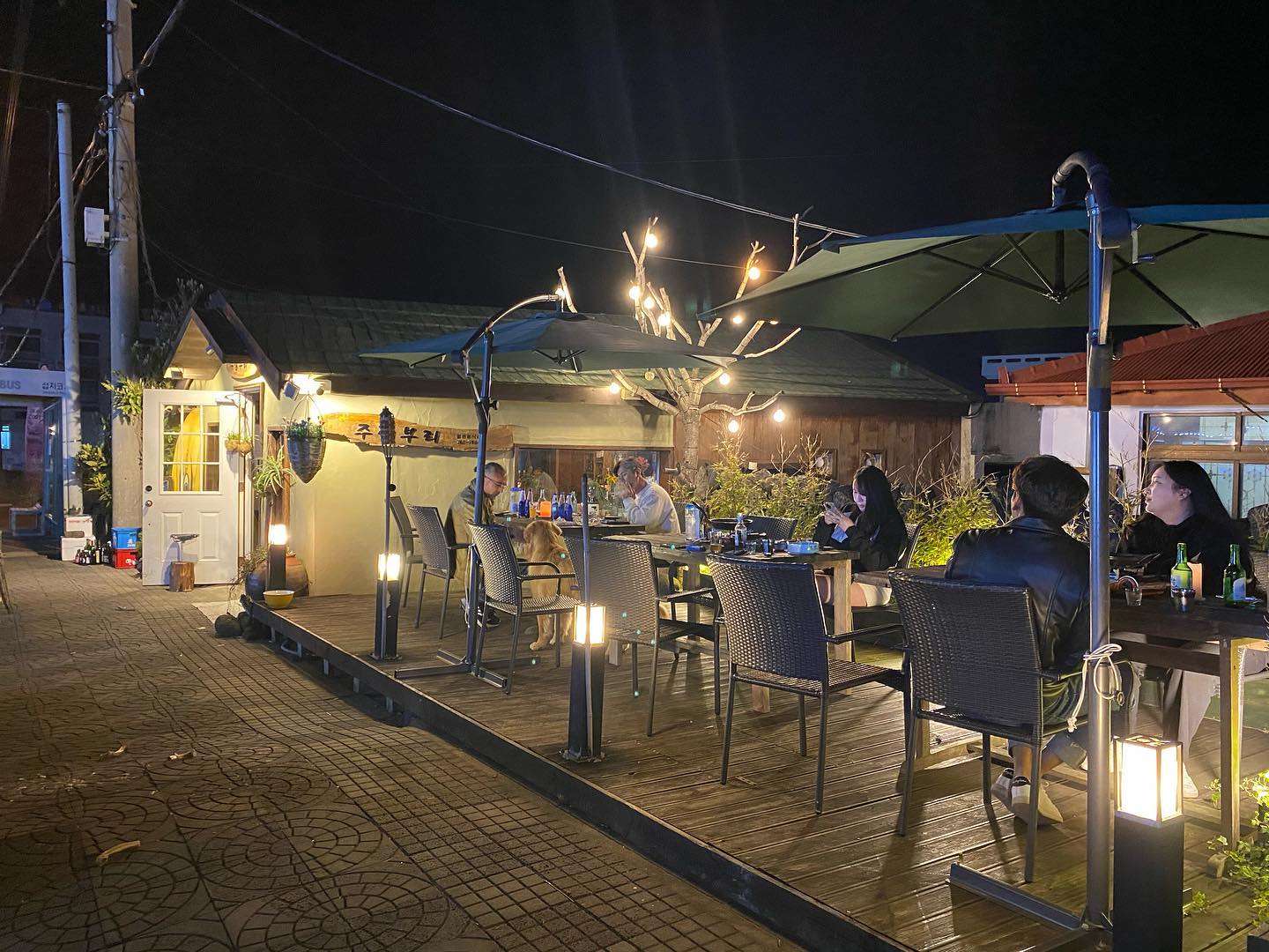 jeju seongsan pub terrace dog