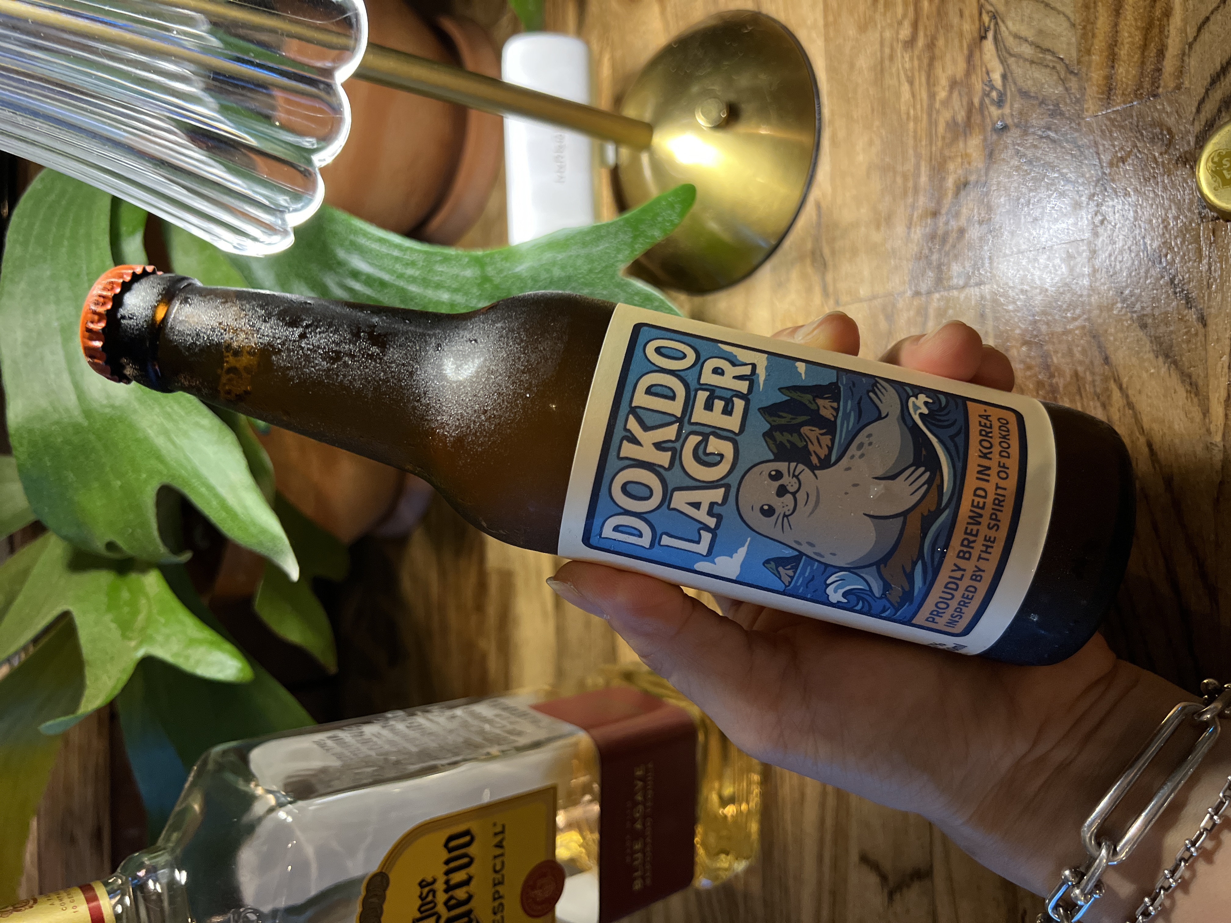 jeju seongsan pub dokdo lager